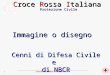 ________________________________________________________________________________________________ Croce Rossa Italiana – Protezione Civile 1 Cenni di Difesa