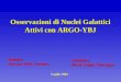 Osservazioni di Nuclei Galattici Attivi con ARGO-YBJ Candidato Maria Luigia Chiarappa Relatore Dott.ssa Silvia Vernetto Luglio 2004