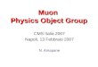 Muon Physics Object Group CMS Italia 2007 Napoli, 13 Febbraio 2007 N. Amapane