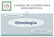 A Cura della prof.ssa Domenica Dinoia Modulo didattico Omologia