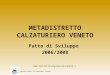 METADISTRETTO CALZATURIERO VENETO Patto di Sviluppo 2006/2008 Metadistretto Calzaturiero Veneto 