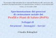 1 Sperimentazione dei processi di costruzione sociale dei Profili e Piani di Salute (PePS) Sviluppi di Strumenti - Immagini - Servizi Claudio Rabagliati