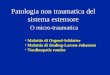 Patologia non traumatica del sistema estensore O micro-traumatica Malattia di Osgood-Schlatter Malattia di Sinding-Larsen-Johanson Tendinopatie rotulee