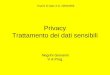 Privacy Trattamento dei dati sensibili Negrini Giovanni V A Prog. Esami di stato A.S. 2005/2006