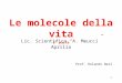 1 Le molecole della vita 2° parte Lic. Scientifico A. Meucci Aprilia Prof. Rolando Neri
