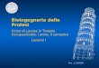 Pisa, 11/3/2004 Bioingegneria delle Protesi Corso di Laurea in Terapia Occupazionale, I anno, II semestre Lezione I
