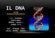 Acido Desossiribonucleico I.C. «CAPPONI» SCUOLA MEDIA GRAMSCI – Milano – CLASSE: 3^ D Prof. OTTOLINA FLORA Alunna: MARRONE ANDREAH IL DNA