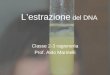 Lestrazione del DNA Classe 2-3 ragioneria Prof. Aldo Marinelli