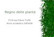Regno delle piante Prof.ssa Elena Truffo Anno scolastico 2004/05