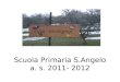 Scuola Primaria S.Angelo a. s. 2011- 2012. Dopo aver ascoltato i suggerimenti dellesperta, la nostra maestra, iniziamo a piantare