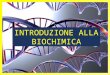 Biochimica-Introduzione.1 INTRODUZIONE ALLA BIOCHIMICA