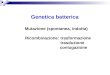 Genetica batterica Mutazione (spontanea, indotta) Ricombinazione: trasformazione trasduzione coniugazione Genetica batterica