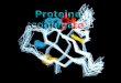 1. 2 proteine coniugate Le proteine possono contenere oltre agli aa altri gruppi chimici; esse sono chiamate proteine coniugate gruppo prostetico La parte