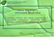 Laurea Magistrale in BIOLOGIA VEGETALE Obiettivo: fornire una solida preparazione e specifiche competenze nellambito della biologia e biotecnologia vegetale