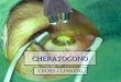 CHERATOCONO CROSS – LINKING. CHERATOCONO Malattia a lenta evoluzione Assottigliamento e sfiancamento della cornea con conseguente astigmatismo miopico
