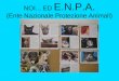 NOI... ED E.N.P.A. (Ente Nazionale Protezione Animali)