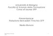 Nadia Bonora Dicembre 08 1 Università di Bologna Facoltà di Scienze della Formazione Corso di laurea SFP Presentazione Relazione Bancadati-Tirocinio SFP