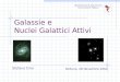 Galassie e Nuclei Galattici Attivi Belluno, 28 Novembre 2002 Dipartimento di Astronomia Università di Padova Stefano Ciroi
