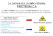 La sicurezza in laboratorio: PROTEOMICA La PROTEOMICA è lo studio del PROTEOMA e per proteoma sintende lintero complesso di proteine espresse da un genoma