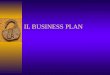 IL BUSINESS PLAN. Finalità del business plan fornire al finanziatore informazioni dettagliate su tutti gli aspetti dellazienda (storia dellazienda e sue