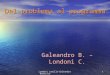 Londoni camilla-Galeandro Beatrice1 Dal problema al programma Galeandro B. – Londoni C