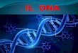 1 IL DNA. Gli organismi viventi sono formati da tante unità : le CELLULE; in ogni individuo ci sono circa 100 mila miliardi di cellule. Ogni cellula contiene