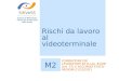 Rischi da lavoro al videoterminale SiRVeSS Sistema di Riferimento Veneto per la Sicurezza nelle Scuole M2 FORMAZIONE DEI LAVORATORI EX D.Lgs. 81/08 (art