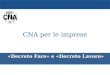 «Decreto Fare» e «Decreto Lavoro» CNA per le imprese