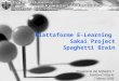 Piattaforme E-Learning Sakai Project Spaghetti Brain Ingegneria del Software 1 Saettone Vittorio 7 Marzo 2006