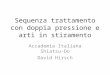 Sequenza trattamento con doppia pressione e arti in stiramento Accademia Italiana Shiatsu-Do David Hirsch