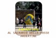 8 MARZO 2015 AL SACRARIO DELLE FOSSE ARDEATINE. Una corona di mimose nel luogo simbolo delle Fosse Ardeatine, a Roma, per ricordare e dare omaggio alle