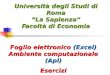 Università degli Studi di Roma “La Sapienza” Facoltà di Economia Foglio elettronico (Excel) Ambiente computazionale (Apl) Esercizi