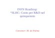INFN Roadmap “SLHC: Costo per R&D nel quinquennio Convener: M. de Palma