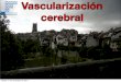 Vascularización cerebral (parte I)