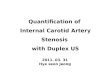 Quantification of ica stenosis(정혜선) 20110331