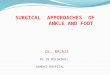 surgical approaches to ankle and foot
