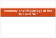 D anatomy and physiology of the hair and skin