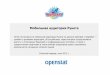 Мобильная аудитория рунета Опенстат Вапстарт