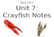Biology unit 7 organ systems crayfish notes