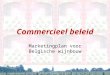 Commercieel beleid Marketingplan voor Belgische wijnbouw