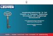 VIVES – Vlaams Instituut Voor Economie En Samenleving Jeugdondernemerschap in het Vlaamse en Europese landschap: Ontsnappen aan langdurige werkloosheid