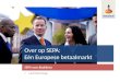 Over op SEPA: Eén Europese betaalmarkt SEPA voor Bedrijven • Leo Hoornweg