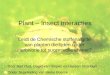 Plant – Insect interacties Leidt de Chemische stoffenafgifte van planten die lijden onder Herbivorie tot succesvolle afweer? Door Bart Oud, David van Diepen
