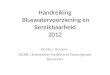 Handreiking Bluswatervoorziening en Bereikbaarheid 2012 Gerda J. Bouma, NVBR / Brandweer Nederland Projectgroep Bluswater