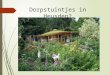 Dorpstuintjes in Heusden?. Wat?  Volkstuin = Samentuin = Dorpstuin  Een ruimte waar burgers op 1 locatie een groentetuin op een ecologische wijze bewerken