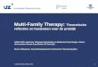 © 2008 Universitair Ziekenhuis Gent1 Multi-Family Therapy: Theoretische reflecties en handvaten voor de praktijk Gilbert MD Lemmens, Vakgroep Psychiatrie
