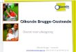 Oikonde Brugge-Oostende Dienst voor pleegzorg Oikonde Brugge – Oostende info@oikondebrugge.beinfo@oikondebrugge.be 050-33 43 17 of 059-40 25 42