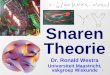 1 Snaren Theorie Dr. Ronald Westra Universiteit Maastricht, vakgroep Wiskunde