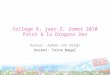 College 6, jaar 2, Zomer 2010 Pitch à la Dragons Den Auteur: Ayman van Bregt Docent: Toine Nagel