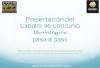 SUPREME Nº5-Presentación del Caballo de Concurso Morfologico-Guía